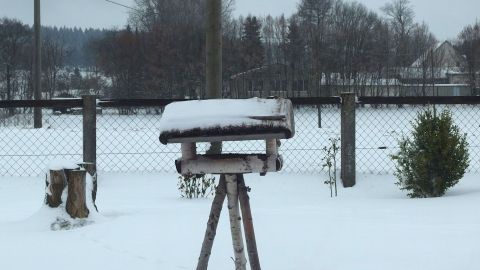 Der Tipp ist uralt und wurde schon von vielen Generationen vor uns praktiziert. Bei diesen Temperaturen kann man schon dem Kühlschrank oder sogar dem Tiefkühler einen kleinen Urlaub gönnen. Eine Schnee bedeckte Vogeltränke steht ruhig im verschneiten Garten, umgeben von Bäumen und einem eingezäunten Bereich.