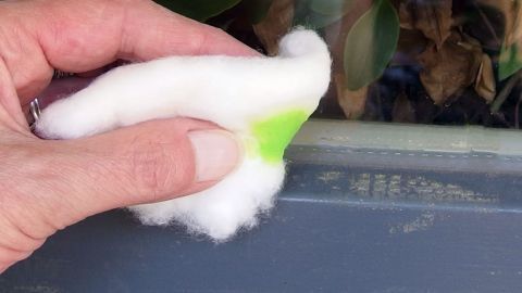 Eine Hand hält ein Wattepad, das Klebereste vom Fliegengitter am Fensterrahmen entfernt, um den Rahmen zu reinigen.
