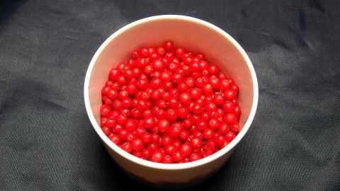 Ein Fruchtsäurepeeling mit roten Johannisbeeren gibt der Haut einen richtigen Frische-Kick. Eine Schüssel mit roten Johannisbeeren steht auf einem dunklen Untergrund und wirkt frisch und saftig für ein Fruchtsäurepeeling.