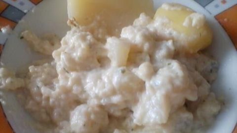 Kohlrabi in cremiger Soße auf einem Teller, begleitet von Kartoffeln in einem dekorativen orange-weißen Tellerrand.