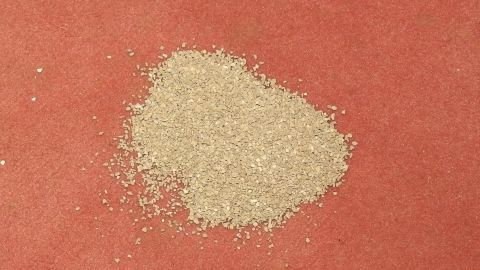 Ein Haufen Katzenstreu liegt auf einem Teppich, während der Versuch läuft, Erbrochenes zu entfernen.