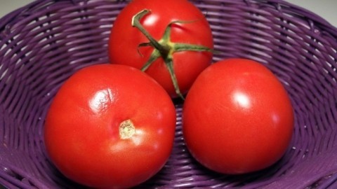 Qualitativ gute und günstige Tomaten