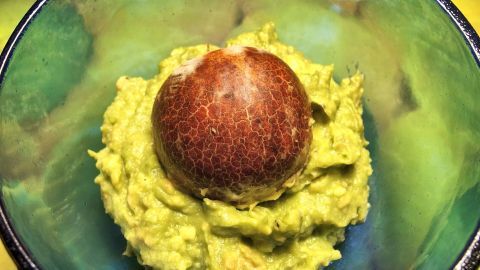 Guacamole wird nicht braun, wenn man einfach den Kern drin liegen lässt. Eine grüne Guacamole liegt in einer Schüssel, während ein Avocadokern in der Mitte platziert ist, um Braunwerden zu verhindern.