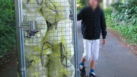 Ein Metallwagen voller gelber Säcke wird von einer Person auf einem Waldweg geschoben.