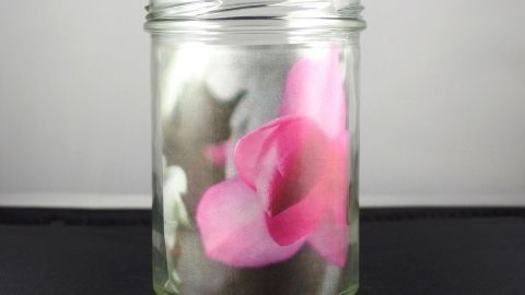 Hübsches Schraubglas mit Foto bestücken - sieht originell aus und ist schnell gemacht. Eine Blume liegt in einem Glas, das die Farben verstärkt, während der schwarze Hintergrund Kontrast bietet.