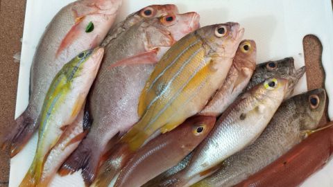 Auf einem Schneidebrett liegt eine Auswahl frischer Fische, während der Fischgeruch in der Küche deutlich wahrnehmbar ist.