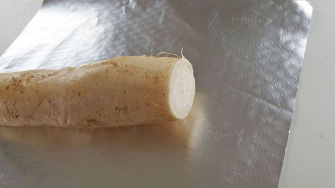 Ein frischer Meerrettich liegt auf Aluminiumfolie und wartet darauf, richtig aufbewahrt zu werden.