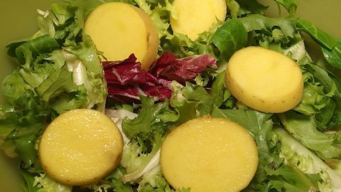 Ein paar Kartoffelscheiben und etwas Zitronensaft lassen welken Salat wieder frischer werden. Frischer Salat mit gelben Scheiben, der auf einem Teller angerichtet ist, um ihm mehr Farbe und Geschmack zu verleihen.