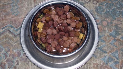 Trinken deine Katzen kein Wasser? Einfach mit ins Essen mischen und es wird freudig getrunken. In einem silbernen Futternapf liegt feuchtes Katzenfutter, unterlegt mit kleinen Stücken, auf einem gemusterten Teppich.