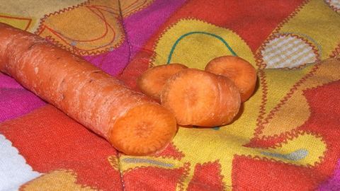 Auf einem bunten Tuch liegen frische Karotten, während eine größere Karotte neben kleineren Stückchen platziert ist.