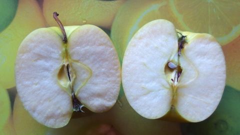 Halbierte Äpfel liegen auf einer bunten Unterlage und bleiben frisch, während sie an der Luft sind und nicht braun werden.