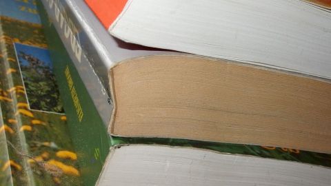 Bibliotheksbücher liegen gestapelt auf einem Tisch, die Seiten sind sichtbar, als ob sie nicht genutzt werden.