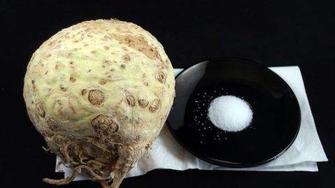 Ein Sellerieknolle liegt neben einer kleinen schwarzen Schale mit weißem Salz auf einem weißen Untergrund.
