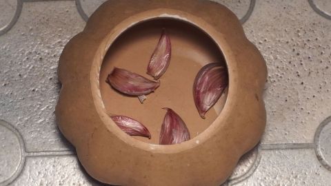 In einer runden Schale liegen mehrere Knoblauchzehen, die darauf warten, nicht zu keimen. Der Boden ist gefliest.