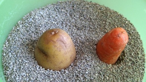 Karotten monatelang frisch im Sand