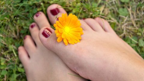 Zwei Füße mit rotem Nagellack stehen im Gras, während eine orangefarbene Blume darauf gelegt ist, als sanfte Dekoration.