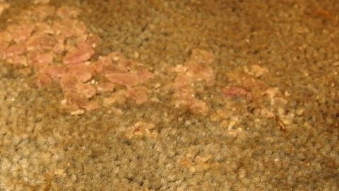 Ein Teppich mit Wachsflecken zeigt die Spuren von Farbe. Die Flecken sind deutlich sichtbar auf der Textur des Stoffes.