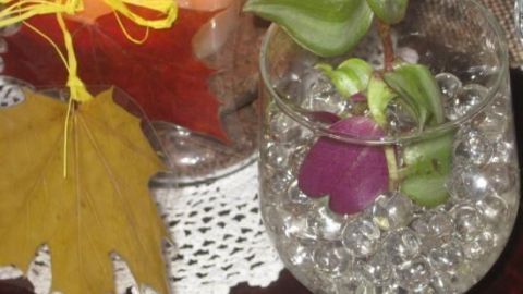 Ein Glas enthält Wasserperlen und eine Pflanze, die in einer gemütlichen Umgebung mit Kerzenlicht dekoriert ist.