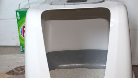 Eine Katzentoilette steht auf einem Boden, umgeben von einem Waschmittelpaket, was auf Gefahren in der Nähe hinweist.