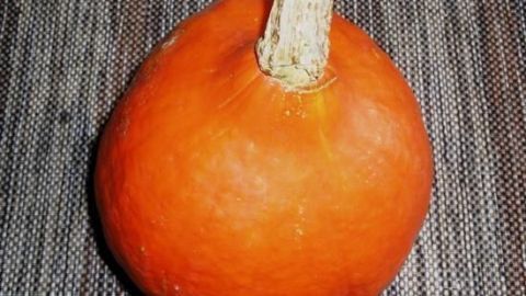 Hokkaido-Kürbis muss nicht geschält werden! Spare Zeit in der Küche, indem du ihn einfach mit Schale kochst. Der Kürbis auf dem Bild ist perfekt für Suppen, Eintöpfe und mehr. Tipps zur einfachen Verarbeitung findest du im Artikel. Ein Hokkaido-Kürbis liegt auf einer strukturierten Unterlage. Der Kürbis hat eine leuchtend orange Farbe und eine kurze, dicke Stiele.