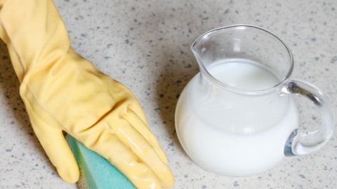 Eine Hand mit gelbem Gummi-Handschuh reinigt einen PVC-Boden mit einem Schwamm, während eine Milchkanne daneben steht.
