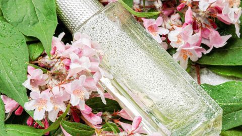 Eine fast leere Parfumflasche liegt auf grünen Blättern und zarten rosa Blüten, umgeben von Feuchtigkeit und Natur.