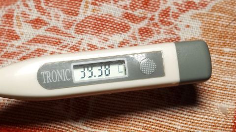 Ein Fieberthermometer zeigt 39,6 °C an, während es auf einem bunten Tuch liegt, was auf ein fieberndes Kind hinweist.