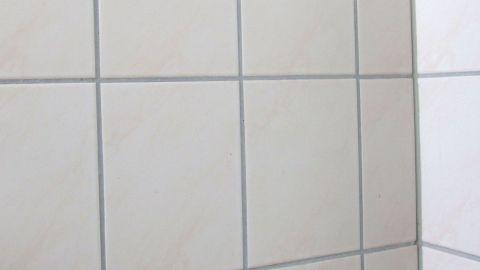 Helle Fliesen mit grauen Fugen, die Schimmelflecken aufweisen, in einem Badezimmerstil, der Sauberkeit erfordert.
