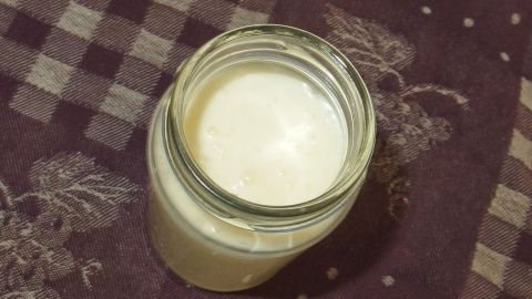 Ein Glas selbstgemachter Joghurt steht auf einem karierten Tisch, umgeben von einer warmen, häuslichen Atmosphäre.