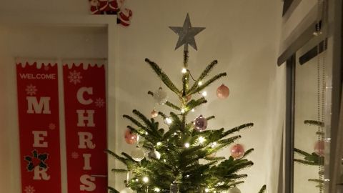 Weihnachtsbaum entsorgen ohne viel Dreck