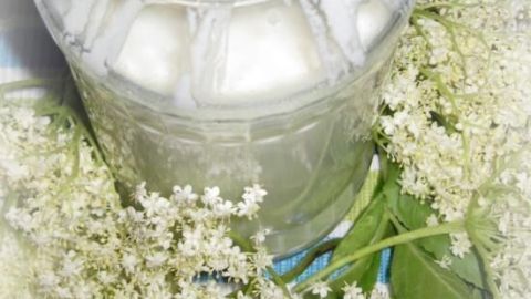 Ein Glas Joghurt steht auf einem Tisch, umgeben von frischen Holunderblüten, die eine natürliche Atmosphäre schaffen.