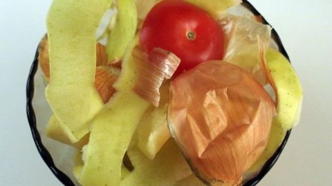 Schalen und Abfälle von frischem Biogemüse, wie Tomate und Zwiebel, liegen in einer Schüssel und warten auf die Verarbeitung.
