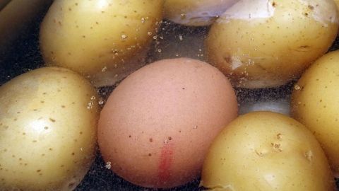 In einem Topf mit Pellkartoffeln kocht ein einzelnes Ei zusammen mit den Kartoffeln in klarem Wasser.