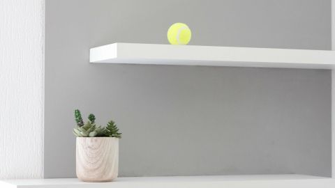 Ein Tischtennisball balanciert auf einem weißen Regal über einem Topf mit Sukkulenten vor einer grauen Wand.
