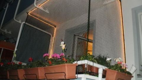 Ein Katzensicherungsnetz umschließt einen Balkon, während Blumentöpfe mit Pflanzen darauf stehen, um Sicherheit zu bieten.