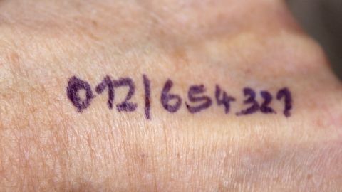Eine Hand zeigt eine Handfläche mit einer handschriftlich notierten Handy-Nummer auf dem Handrücken, die für Sicherheit gedacht ist.