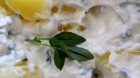 Gekochte Kartoffeln sind in einer cremigen Sauce mit frischen Kräutern angerichtet, bereit zum Servieren als Beilage oder Hauptgericht.