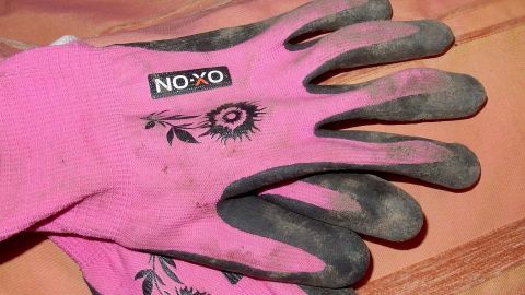 Pink Gartenhandschuhe liegen auf einer Fläche und sind schmutzig, was die Notwendigkeit der Reinigung verdeutlicht.