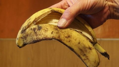 Eine Hand hält eine braune Bananenschale, die als natürlicher Rosendünger in einer hellen Umgebung verwendet werden kann.