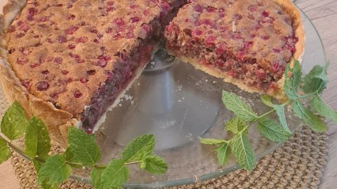 Johannisbeerkuchen (Träubleskuchen)