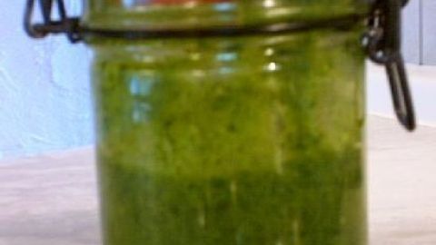 Pesto bleibt schön grün