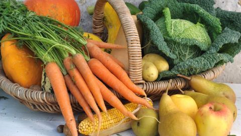 Ein Korb voller frischer Gemüse und Obst, darunter Karotten und Kürbis, wird für karitative Einrichtungen vorbereitet.