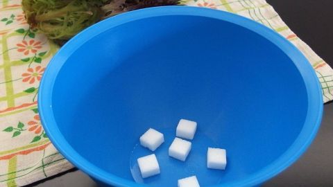 Salat im Kühlschrank frischhalten mit feuchtem Küchenpapier und Zuckerwürfeln. Ein blauer Schüssel steht auf einem Tisch mit einem Tuch, während Zuckerwürfel darin liegen, um Salat frisch zu halten.