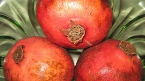 Granatapfel - von der Frucht ins Frühstücksschälchen - eine Fotostory