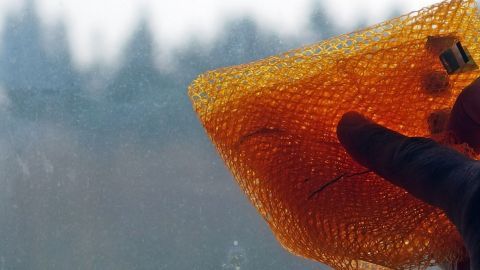 Eine Hand hält einen orangefarbenen Schwamm, der gegen eine beschmutzte Glasscheibe gedrückt wird, um Fliegenkot zu entfernen.