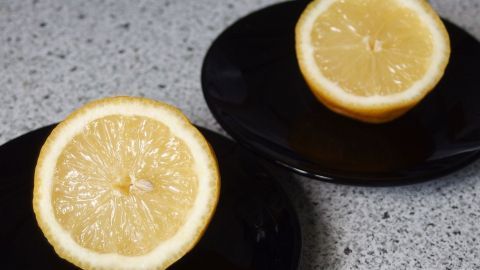 Zwei frisch geschnittene Zitronehälften liegen auf schwarzen Tellern in einer modernen Küche, um Fruchtfliegen fernzuhalten.