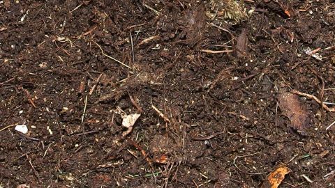 Dunkle, lockere Komposterde liegt auf dem Boden, reich an Nährstoffen und zersetzten organischen Materialien.