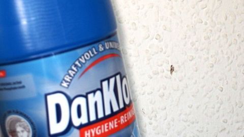 Eine Flasche Dan Klorix steht an einer Wand, während sie auf Kaffeeflecken wirkt und die Wand sauberer macht.