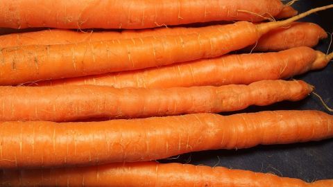 Lange Möhren liegen ordentlich nebeneinander auf einer dunklen Unterlage, bereit zur optimalen Lagerung im Garten.