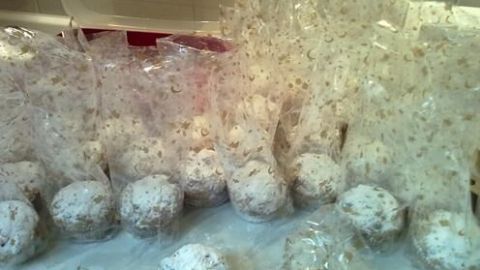 Ein Hand hält einen Stollen-Muffin, während in der Umgebung weitere gefüllte Muffins in Tüten verpackt sind.